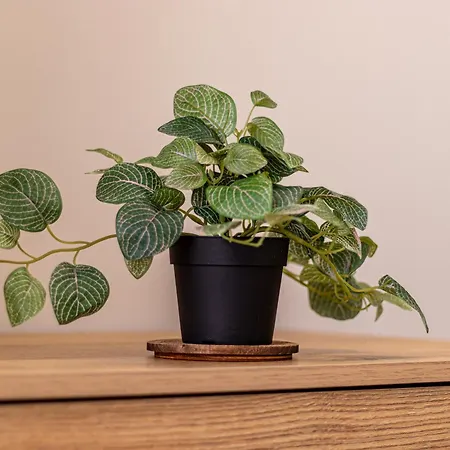 Trocadero Touch: Hideaway Lejlighed *